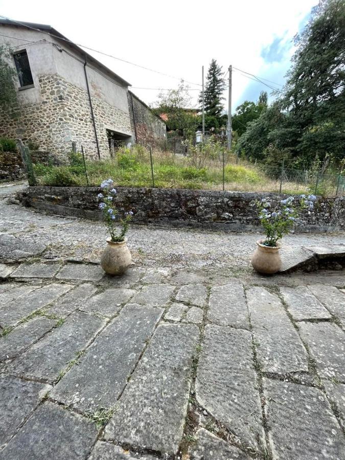 The Dormouse - Il Ghiro Villa Rensa Екстериор снимка